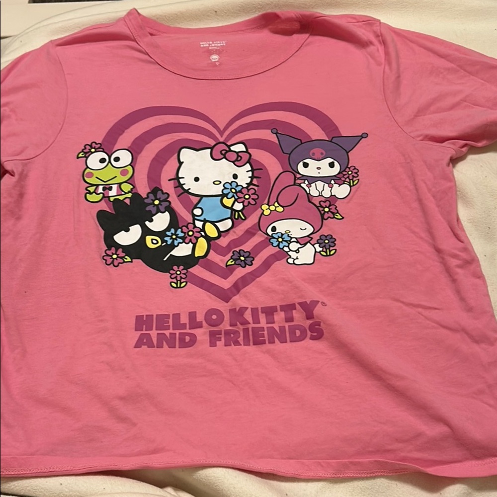 Hello Kitty & Friends Pink Kids T-Shirt